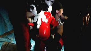 7847 Harley Quinn Assembly - Harley Quinn Assembly 2-9
