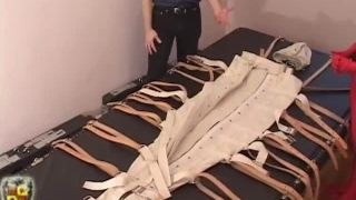 Travis Cocoons Lady Serena House of Gord Quick View Porn ...-2