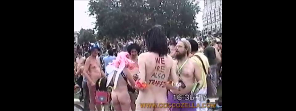 Coccozella-SiteRIP 0116-lg-wnbr-2007-5