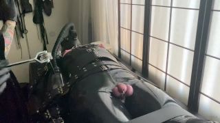 online porn clip 4 Damazonia: Play Time With My Pets on femdom porn femdom cuckold humiliation-0