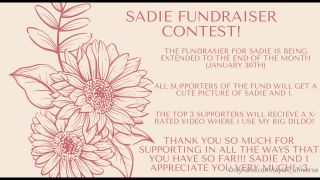 Laylas universe () Laylasuniverse - sadie fundraiser is being extended till the end of the month january th along with tim 04-01-2021-2