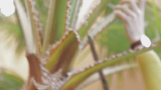 Episode 6 Behind the Scenes 1080p - 6_behind-1
