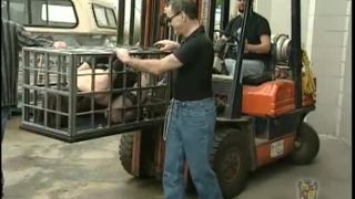 House of Gord20 11 24 (19 08 05) S B I  I - Trouble At The House Of Gord-0