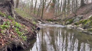 Lily LaBeau () Lilylabeau - rainy day fun in the forest ails des ours translates to garlic of bears an 01-04-2022-1