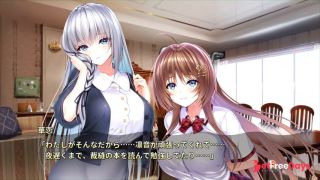 H GAMERole playerH      Hentai  Anime  Eroge-4