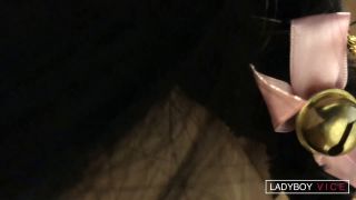 adult xxx clip 7 [LadyboyVice] Enjoy Kitty Cat In Heat Sprayed With Nut Milk 23 Jul 2025 [HD, 1080p] - asian shemale - shemale porn hot gay asian-8