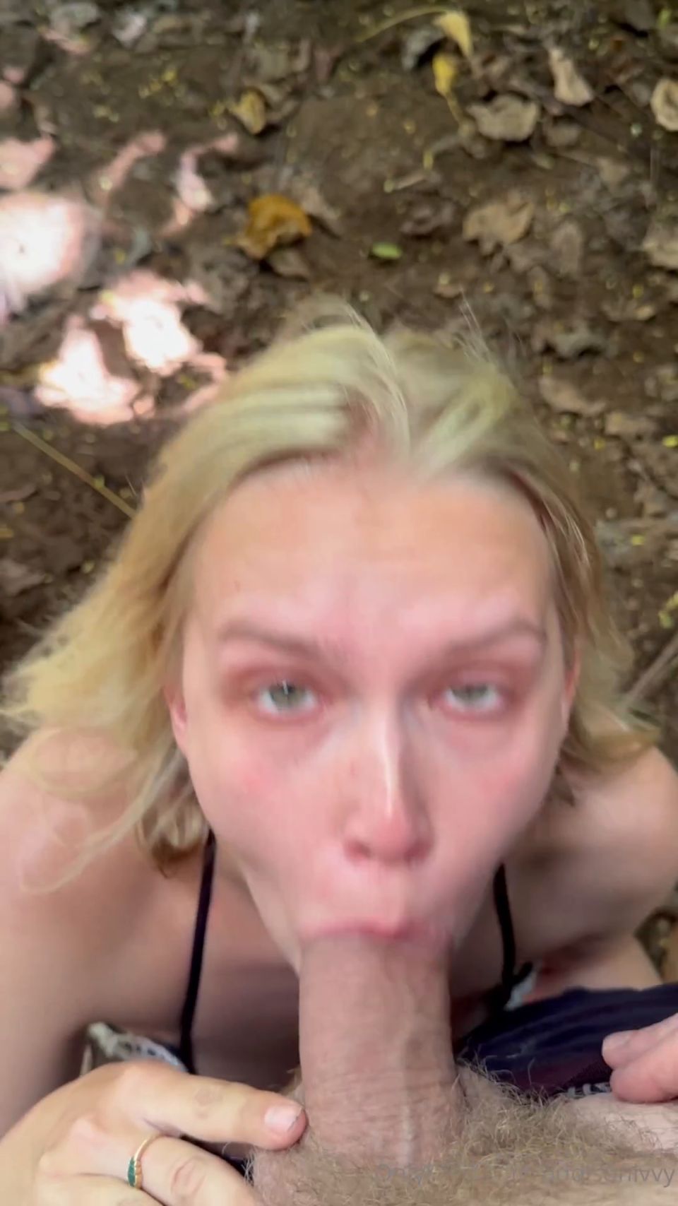 Addison Ivy 216952614456256663 Onlyfans (Pornstar)