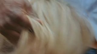 free online video 17 online xxx clip 36 online porn clip 4 xxx clip 11 naked femdom femdom porn | free adult clip 18 big ass milf anal cock interracial sex porn | adult video 49 online video 33 xxx clip 45 Blackmaled: Vivid Girls, amateur femdom on threesome  on fetish porn giantess girl fetish, big ass chubby anal on femdom porn  | petite | big butt | hairy | femdom porn 3d porno big ass on interracial sex porn girl wedgie fetish - brunette - latina girls porn ass young big tits-1