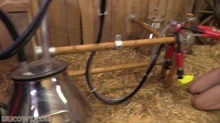 online xxx clip 6 gay bdsm game bdsm porn | Lina Roselina - mini HuCow - maximum power | bdsm-2