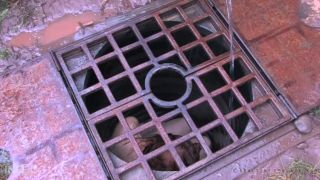 adult video 25 Calico, Sister Dee - Ice Pony II | ring gag | gangbang xxx brunette bdsm-3