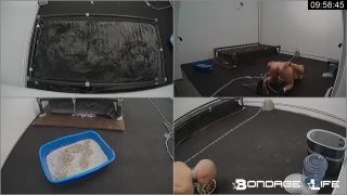 free adult video 34 (02.22.2018) Morning Ritual on bdsm porn nimin fetish fantasy-5