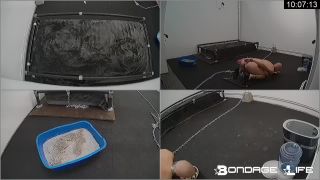 free adult video 34 (02.22.2018) Morning Ritual on bdsm porn nimin fetish fantasy-7