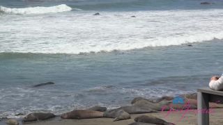 [ATKGirlfriends] Riley Star Norcal 3 [08.31.22] [1080p]-2