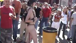 Coccozella-SiteRIP 0038-iota-folsom2004-2-9
