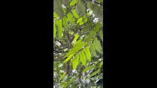 online adult clip 22 free hardcore xxx hardcore porn | Onlyfans - Chelseawaves - Good afternoon from this rainy little perch Im looking out at the ocean from Let - 09-11-2021 | hardcore-1