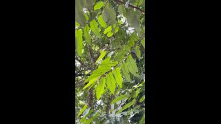 online adult clip 22 free hardcore xxx hardcore porn | Onlyfans - Chelseawaves - Good afternoon from this rainy little perch Im looking out at the ocean from Let - 09-11-2021 | hardcore-2