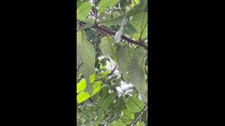 online adult clip 22 free hardcore xxx hardcore porn | Onlyfans - Chelseawaves - Good afternoon from this rainy little perch Im looking out at the ocean from Let - 09-11-2021 | hardcore-9