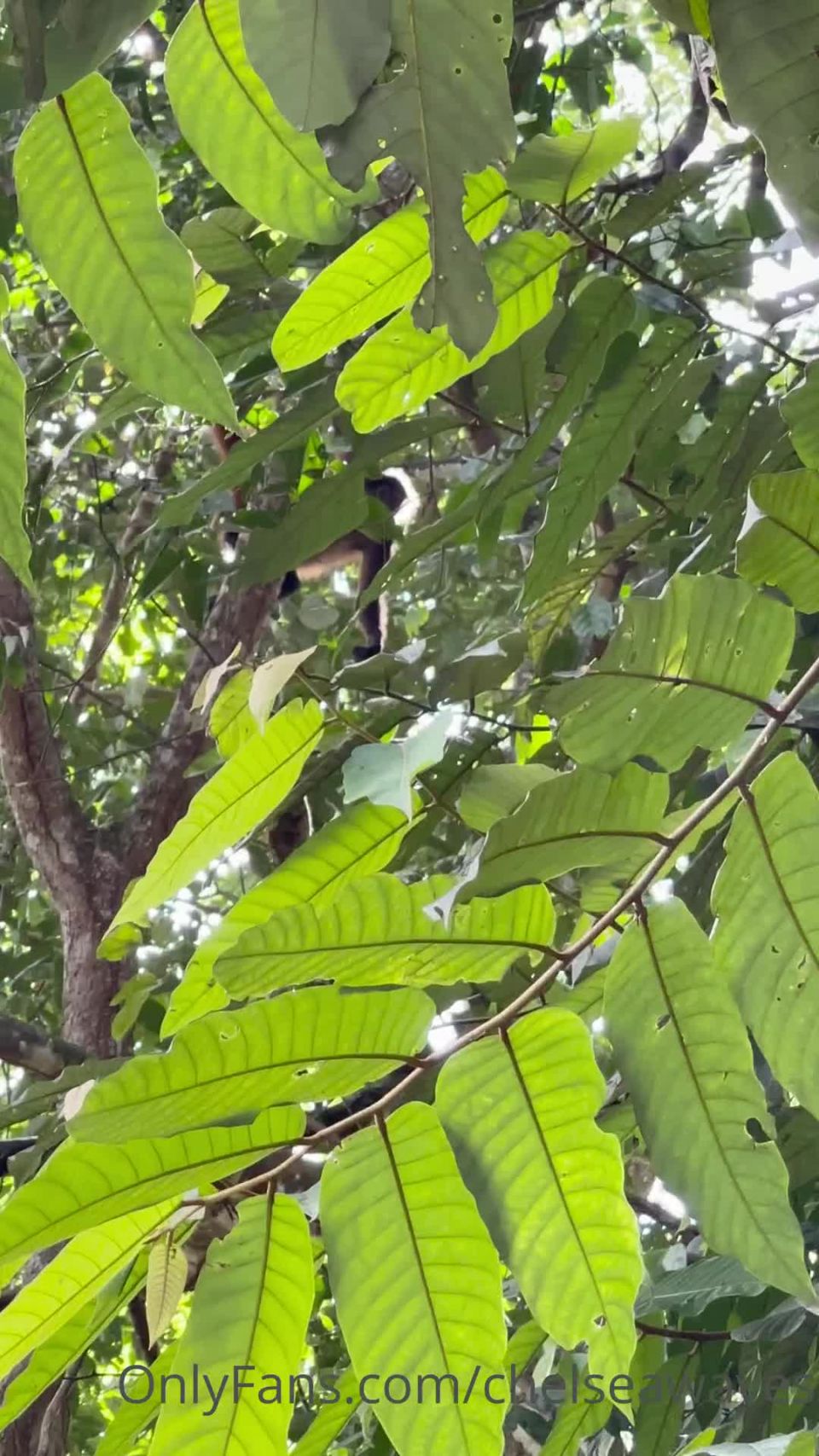 online adult clip 22 free hardcore xxx hardcore porn | Onlyfans - Chelseawaves - Good afternoon from this rainy little perch Im looking out at the ocean from Let - 09-11-2021 | hardcore