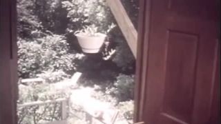 Swedish Erotica 1103: The Erotic Exotic Machine (1978) - (Vintage)-0