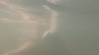 hermionePotter 170359639 We spend the day at this beautiful lake which isn't far away   01 0gsicqlmq02gc2vgqkrst source-8
