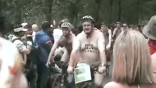 Coccozella-SiteRIP 0397-LG-wnbr2010-3-6