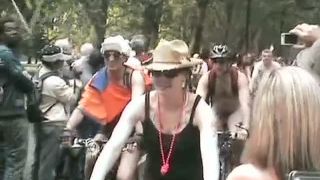 Coccozella-SiteRIP 0397-LG-wnbr2010-3-8