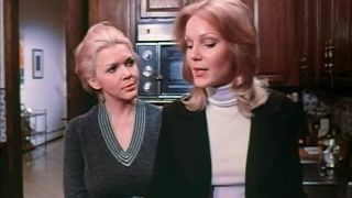 Confessions of a Young American Housewife (1974) - (Vintage)-5