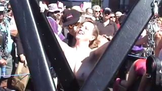 Coccozella-SiteRIP 0040-iota-folsom2004-4-1