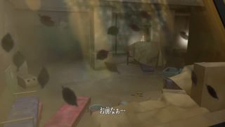 3D 9663 Moment-5