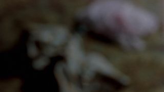 Au Pair Girls 1972 The Classic Vintage Erotic Thriller-4