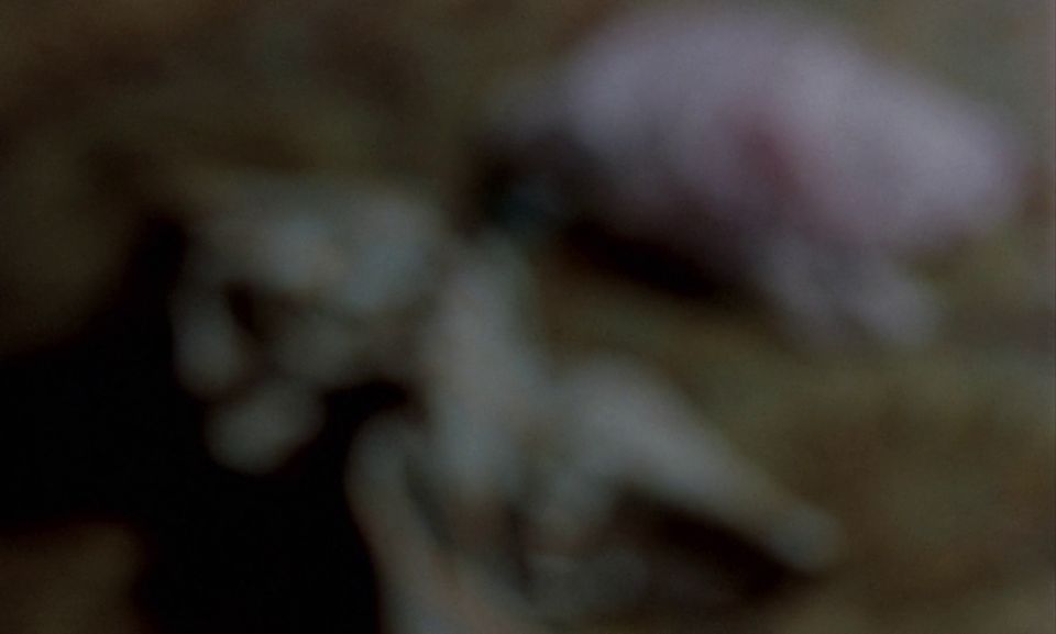 Au Pair Girls 1972 The Classic Vintage Erotic Thriller