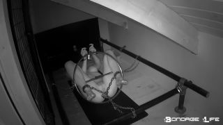 online xxx clip 19 Bondage Life Rachel Greyhound: The Ring Predicament (Release date: Jan. 11, 2021) - predicament bondage - bdsm porn adriana chechik bdsm-8