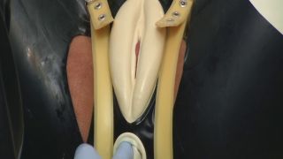 Spekula Ass exam.-0
