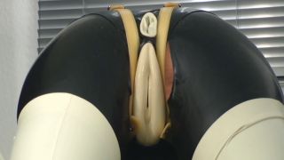 Spekula Ass exam.-9