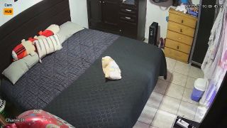 Amateur 1054 Mexico Tizayuca immi6OsO8-2