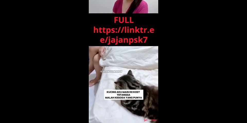 BERAWAL DARI KUCING BISA NGENTOT CEWEK CANTIK