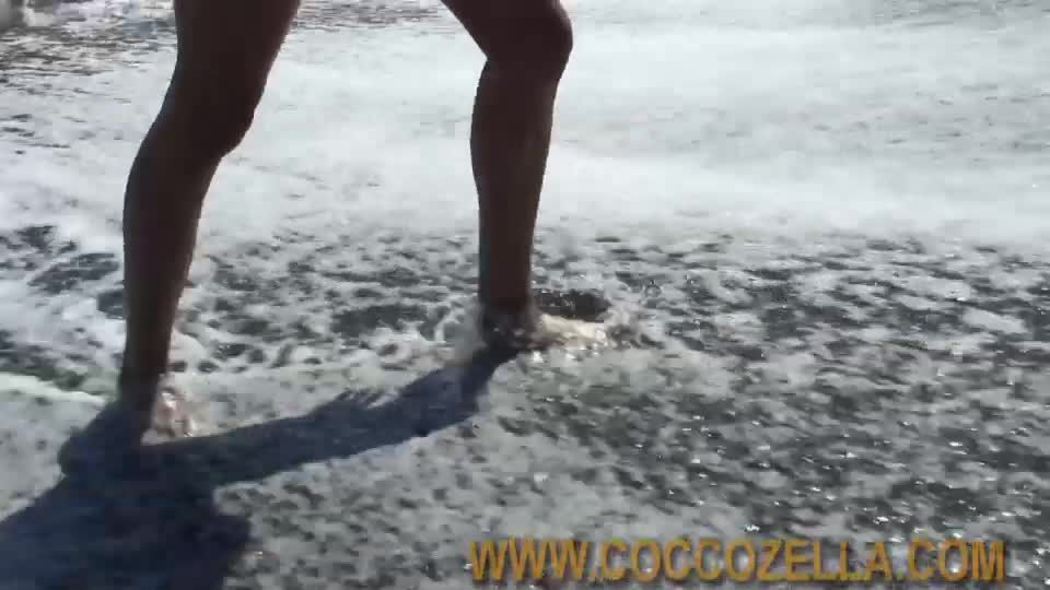Coccozella-SiteRIP 0180-nomad-marin-3