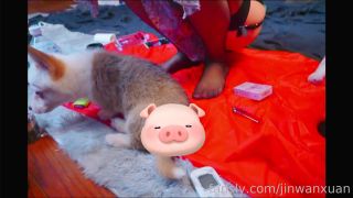 free online video 33 aj applegate femdom shemale porn | JinWanXuan1999 - Clip 124498860639624634368 [Fansly] (FullHD 1080p) | transsexual-1