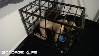 free adult clip 35 lesbian armpit fetish Bondage Life – Cage Time With Greyhound (Owner Edition), bondagelife on femdom porn-0