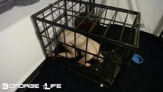 free adult clip 35 lesbian armpit fetish Bondage Life – Cage Time With Greyhound (Owner Edition), bondagelife on femdom porn-7