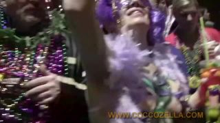 Coccozella-SiteRIP 0334-donbones-mg2009-2-6