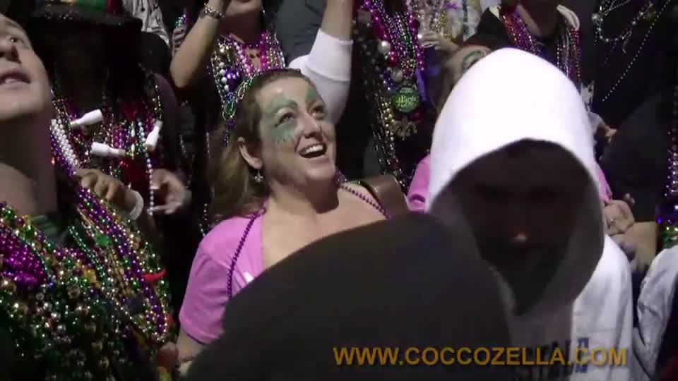 Coccozella-SiteRIP 0334-donbones-mg2009-2