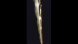 20180811_232203-9