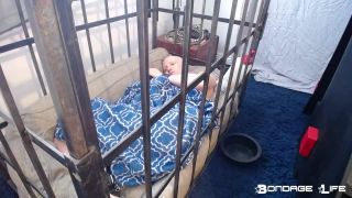 online adult clip 22 Bondage Life – 24 Hour Live Stream (Chapter 9) – Rachel Greyhound on femdom porn male feet fetish-1