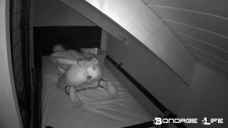 xxx video clip 26 (02.27.2019) Evening With Greyhound | bondage | bdsm porn panty sniffing fetish-1