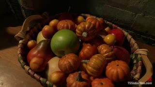 Romantic Cabin Sex Dungeon with Toya & CCOK - HD 720p Femdom-2