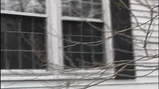 [SiteRip] BodySheen ElanaDance01A-7