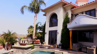 Pet Of The Month October 2021 - Brunette-1