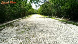 xxx clip 45 hentai big ass anal hardcore porn | Dawns Place – Busted | butt-7