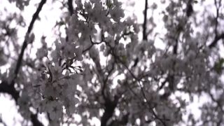 [SuperMisses.com] GIGP-66 Heroine's SAGA #4 ~Only courage can change your destiny~-018-9